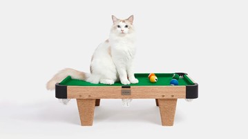 Meownooker Cat Billiards Toy Meownooker Cat Billiards Toy