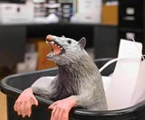 Office Possum