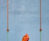 The Chicken Swing