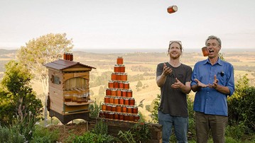 Flow Hives Langstroth-Style Cedar Beehive