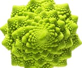 Breaking Physics Cauliflower