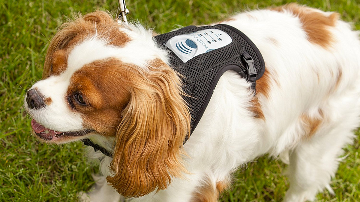 Calmz Anxiety Relief System for Dogs Calmz Anxiety Relief System for Dogs
