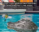 Remote Control Crocodile Head