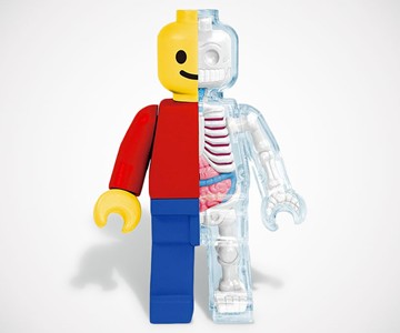 Anatomical Brick Man