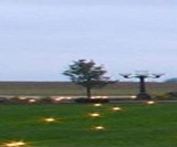 Lawn Lights