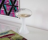 Mushlume UFO Bioluminescent Display