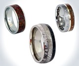 Meteorite & Dinosaur Bone Inlaid Rings