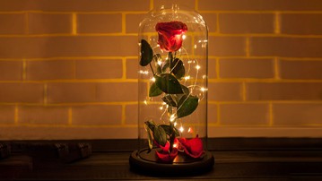 Rosephoria Beauty and The Beast Dome Rosephoria Beauty and The Beast Dome