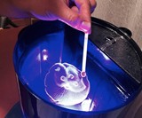 Pet Jellyfish Aquarium