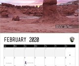 Nature's D*ck Pics 2020 Wall Calendar
