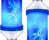 Flame Effect Light Bulbs