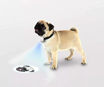 LED Dog Projector for Dog Collars