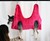 Dog Harness Hammock for Nail Trimming