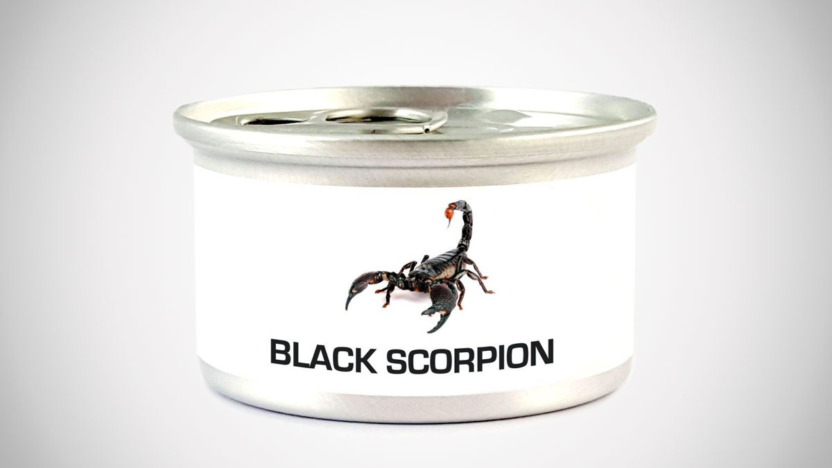 Edible Asian Forest Scorpion Edible Asian Forest Scorpion