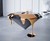 Sierra Diamond & Melting Gold Coffee Table