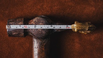Chameleon Tape Measure Chameleon Tape Measure