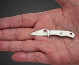 Spyderco Bug Knife