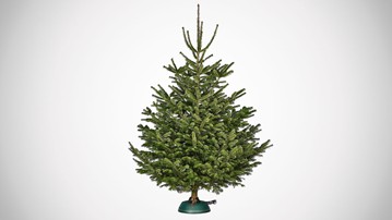 Tree Genie Christmas Tree Stand Tree Genie Christmas Tree Stand