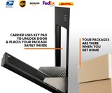 Box Gobbler Through-Wall Package Drop Door