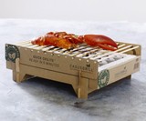 CasusGrill - Biodegradable Instant BBQ