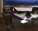 The Cat Crib