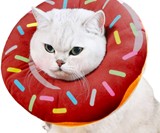 Slice of Bread Cat Cone