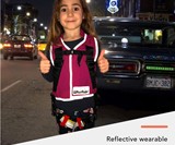 WhizRider Portable Car Seat