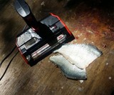 SKINZIT Electric Fish Skinner