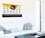 Cognitive Biases Wall Poster