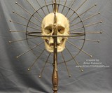 Craniometer