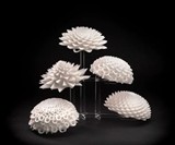 Novatrope Strobing Mood Lights