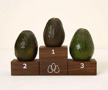 Avocado Ripeness Ranker Avocado Ripeness Ranker