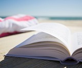 Text on the Beach: Top 10 Summer Reads for Dudes