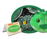 Giant Microbes Heart Burned Gift Box