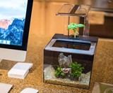 EcoQubeC Aquarium