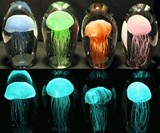 Real Glowing Jellyfish Sculptures