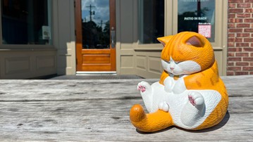 Crotch Staring Cat with Swappable Crotch Parts