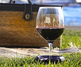 Outdoor Wine Glass Holder