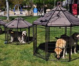 Pet Gazebo Dog Kennel