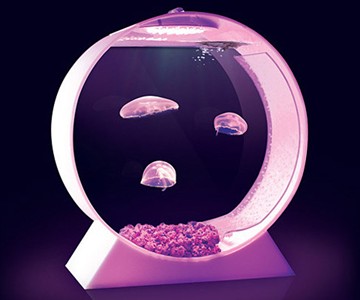 Pet Jellyfish Tank Pet Jellyfish Tank