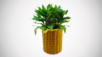 Giant Corn Planter Giant Corn Planter