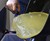 FryAway Cooking Oil Solidifier for Safe & Easy Disposal FryAway Cooking Oil Solidifier for Safe & Easy Disposal
