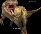 Life-Size Decals