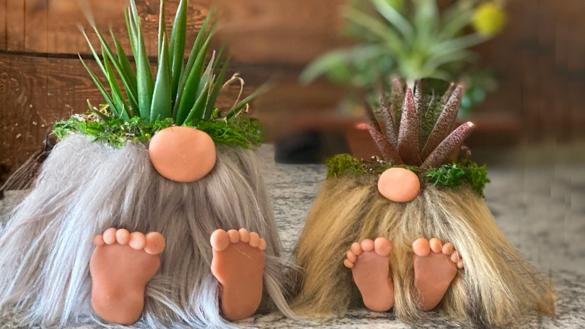 Gnome Planter Gnome Planter
