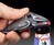 Cuttlefish Bottle Opener Cuttlefish Bottle Opener