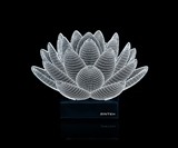 3D Illusion LED Lamps