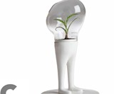 Domsai Terrariums-352