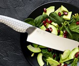 Dalstrong Frost Series Kitchen Knives