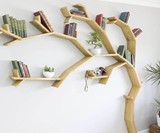 Tree Bookshelves