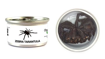 Edible Dehydrated Zebra Tarantula Edible Dehydrated Zebra Tarantula